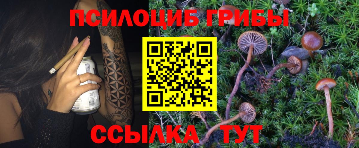 Галлюциногенные грибы MAGIC MUSHROOMS  Псилоцибиновые грибы GOLDEN TEACHER  Вход с VPN  Ессентуки 