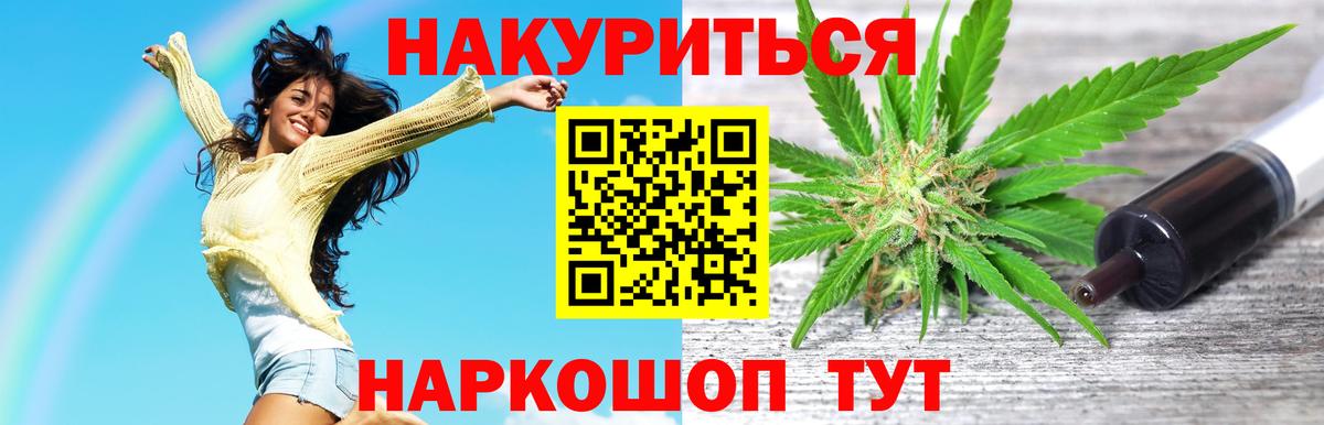 Канабис сатива Ессентуки